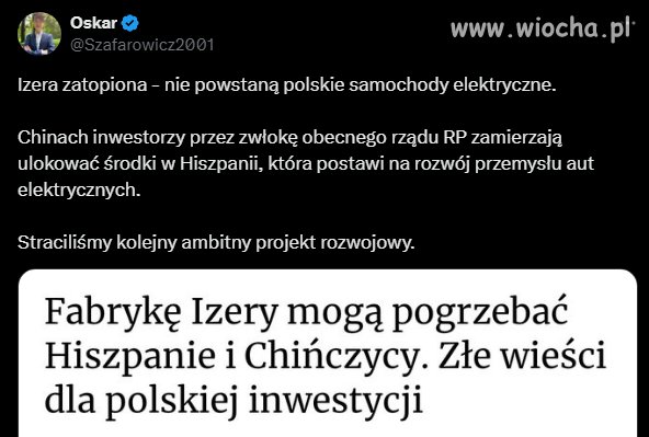 Pis przez 5 lat wyciął tylko las