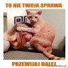 Przewijaj dalej.