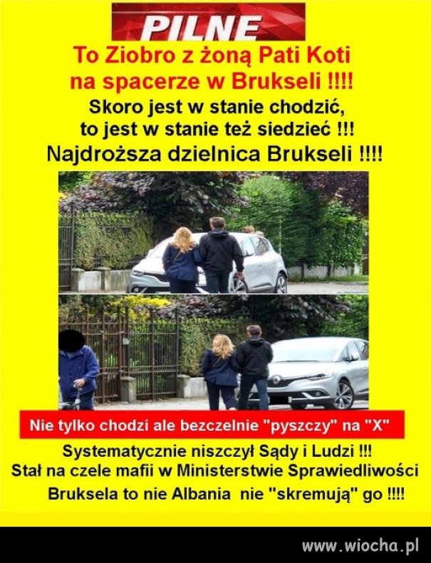 Wystawić za Zerem europejski nakaz aresztowania ..