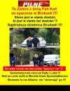 Wystawić za Zerem europejski nakaz aresztowania ..