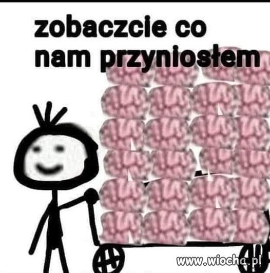 ...mózgi PIS-owców