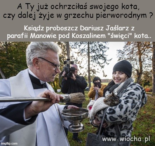 Podobno  ochrzczony  kot nie drapie mebli