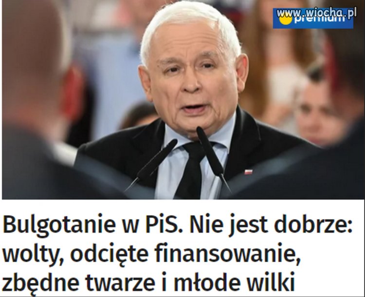 Na razie bulgotanie