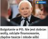Na razie bulgotanie