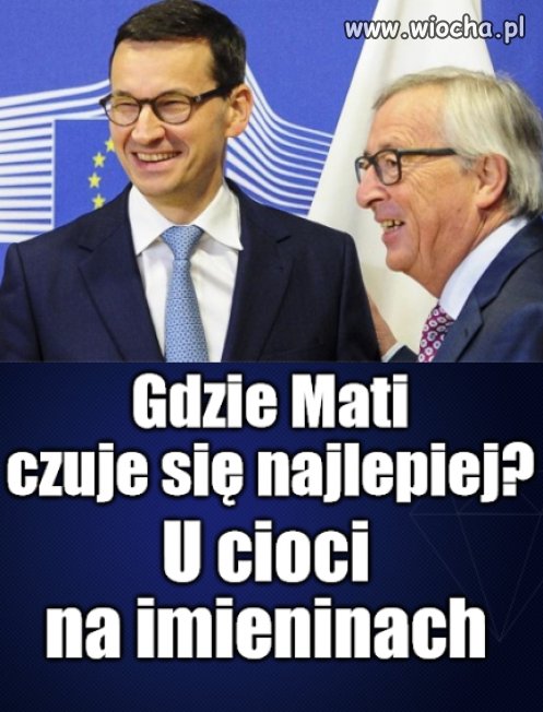 Ulubieniec cioci Stasi