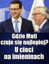 Ulubieniec cioci Stasi