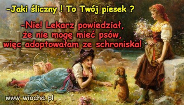 Psiecko:-)