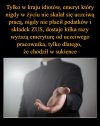 Nic dodać, nic ująć ...