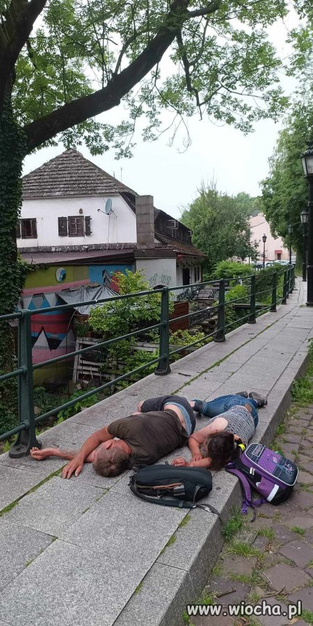 Dzieci wesoło wybiegły ze szkoły