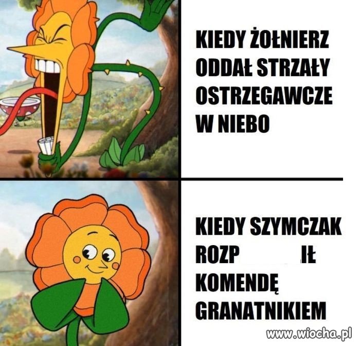 Równi i równiejsi