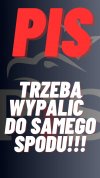 Im więcej słuchasz o tych aferach PiSiorów ...