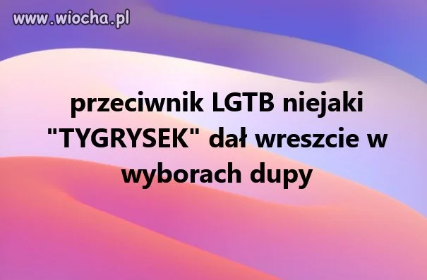 Tygryskwi wypadły zęby