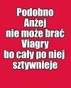 Anżej,Anżej,Anżej...