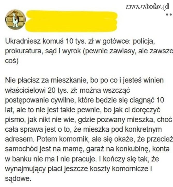 Mój kraj, taki głupi