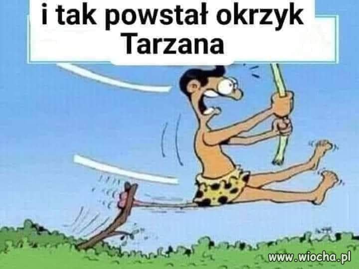 Cała prawda 