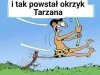 Cała prawda 