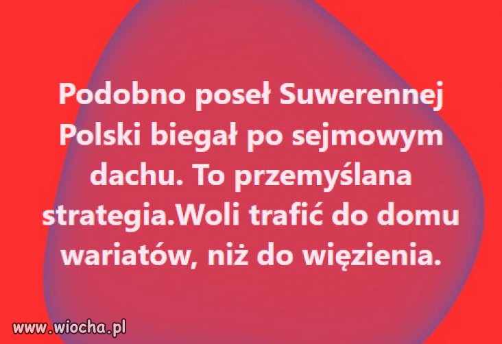 Ratuj się kto może...