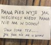 Dobry sąsiad 