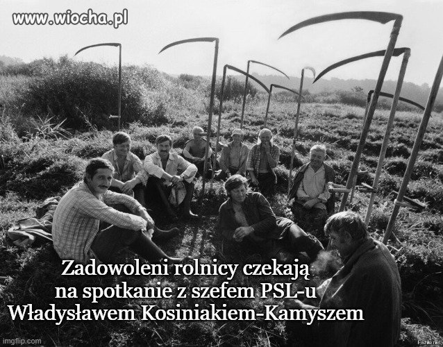 Ktoś kiedyś utnie