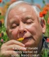 Kwiatki rosną