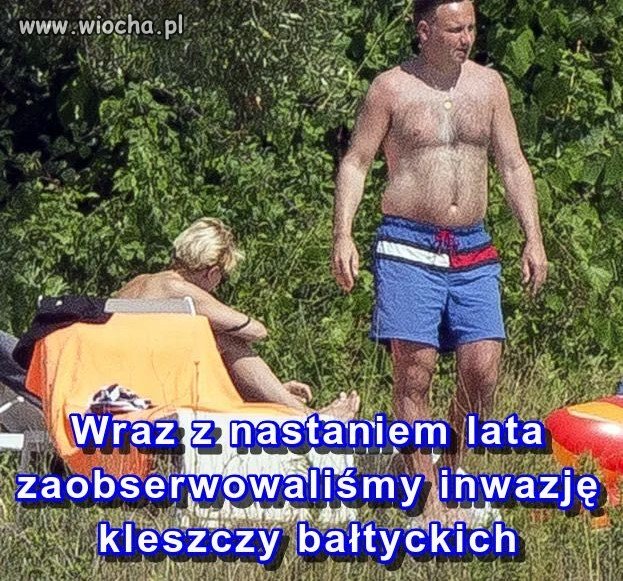 Mamy lato!