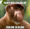 Urlop idealny 