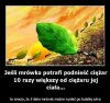 Taka ciekawostka.
