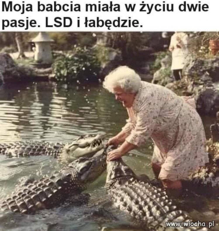Babcia miała pasje