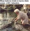 Babcia miała pasje