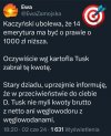 Kaczy świat