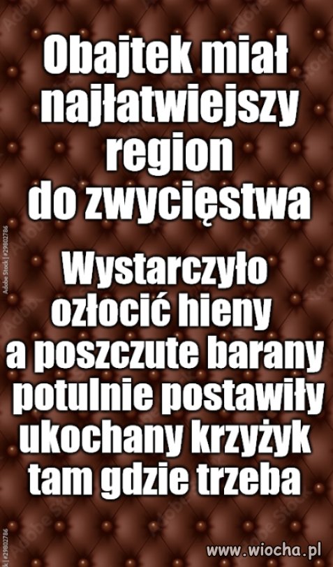 Qrwa qrwie łba nie urwie, a nawet zagłosuje na nią