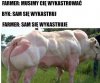 Odwaga godna podziwu 