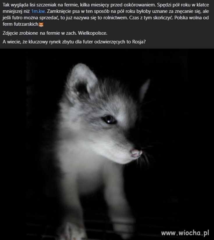 Tylko tu zostawię