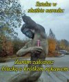 Artyści mają przesłanie