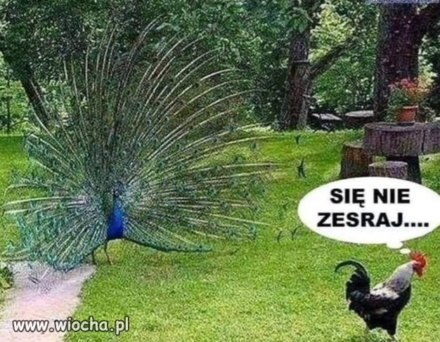 Pamiętajcie, że 
