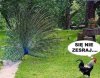 Pamiętajcie, że 