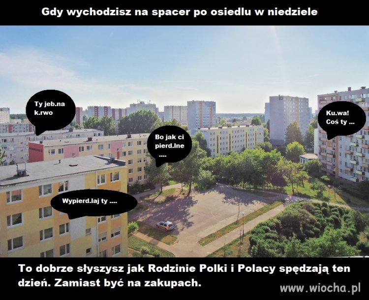 Wyszedłem dziś na spacer po osiedlu