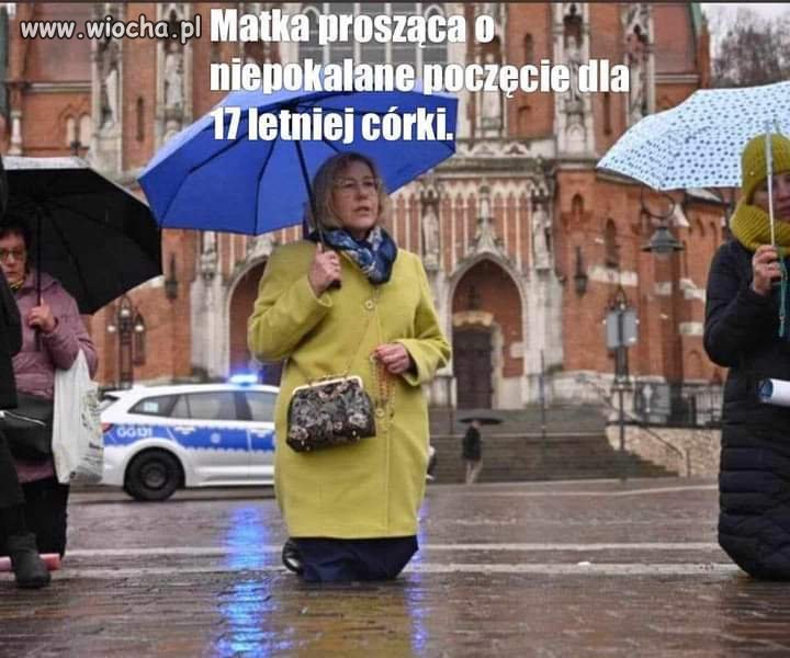 Ćwięta Cytrynówko módl się za nami.