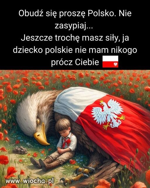 Kiedy głupotę uznaje się za patriotyzm...