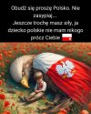 Kiedy głupotę uznaje się za patriotyzm...