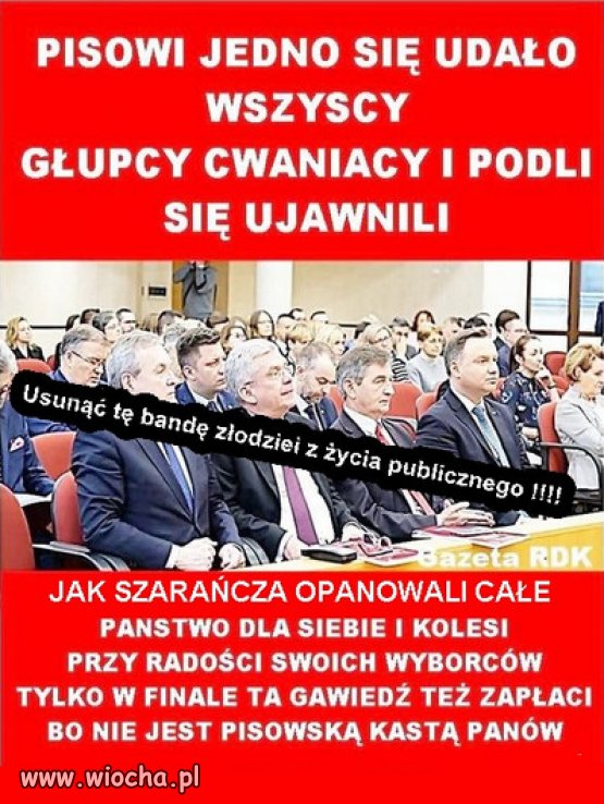 PiS złodziejska szarańcza !!!