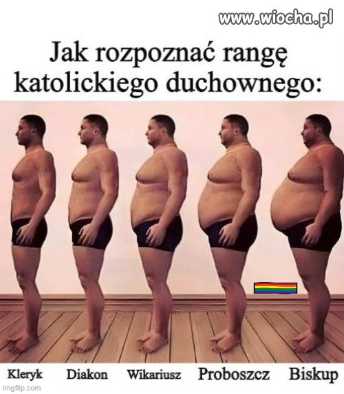 Poradnik do rozpoznawania