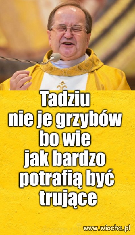 Trujaki potrafią mieć wiele blaszek, także rejestracyjnych