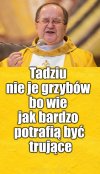Trujaki potrafią mieć wiele blaszek, także rejestracyjnych