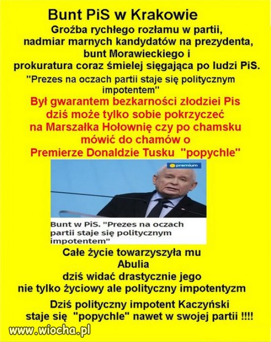Smutny koniec "najmadrzejszgo na swiecie" Jarozbawa!