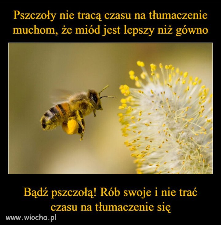 Nie bądź jak zacofany elektorat PiSu...