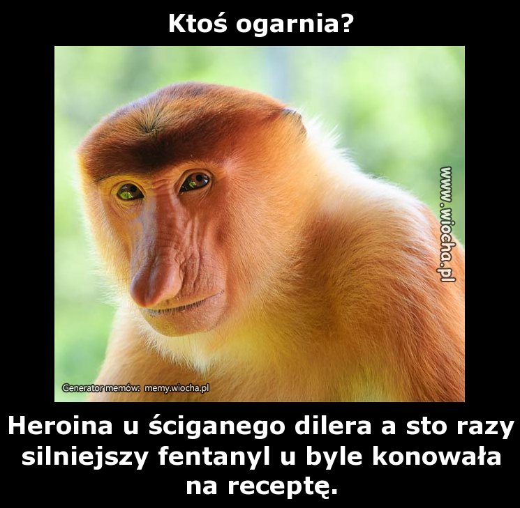 Ktoś ogarnia?