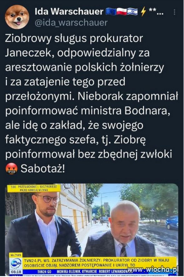 JEDNA, WIELKA ZORGANIZOWANA GRUPA PRZESTĘPCZA.