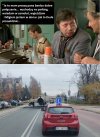 Bareja wiecznie żywy