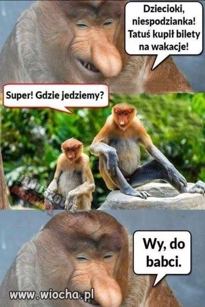 Wakacje czas start